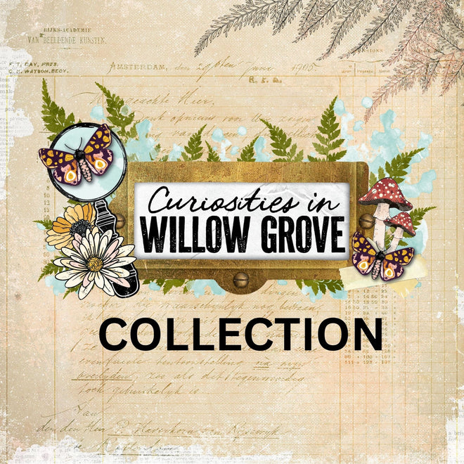 Curiosities in Willow Grove- 49 and Market