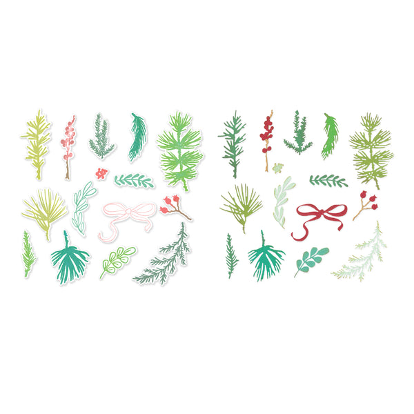 PREORDER!! SIZZIX Clear Stamps Set with Framlits Die - Winter Greenery - by Vicki Boutin - US SHIPPING ONLY!!